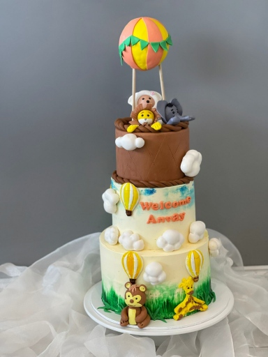 Jugle Hot air balloon 2